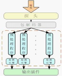 天行網(wǎng)安 以TopWalk ASM為核心，鑄就專業(yè)網(wǎng)絡(luò)安全與軟硬件技術(shù)開(kāi)發(fā)新標(biāo)桿